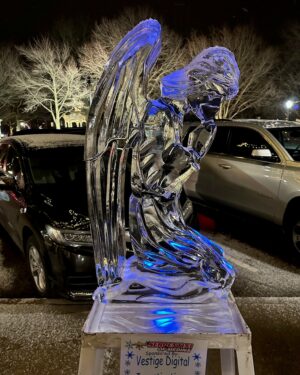 Vestige Digital Investigations - Medina Ice Festival Carving