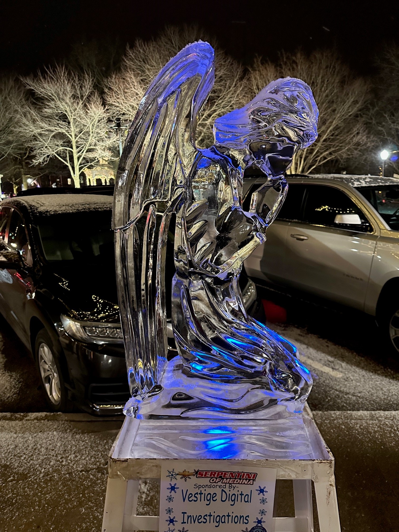 Vestige Digital Investigations - Medina Ice Festival Carving