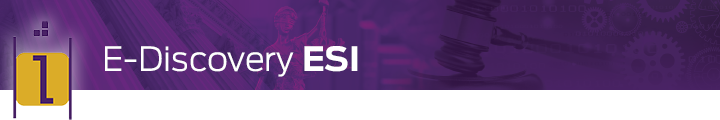 Vestige EDiscovery ESI art - purple w i